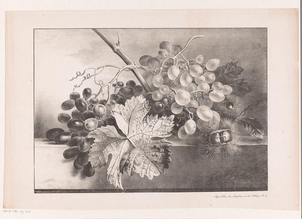 Stilleven met druiven en kastanjes (1809 - 1861) by Georgius Jacobus Johannes van Os, Georgius Jacobus Johannes van Os and L…