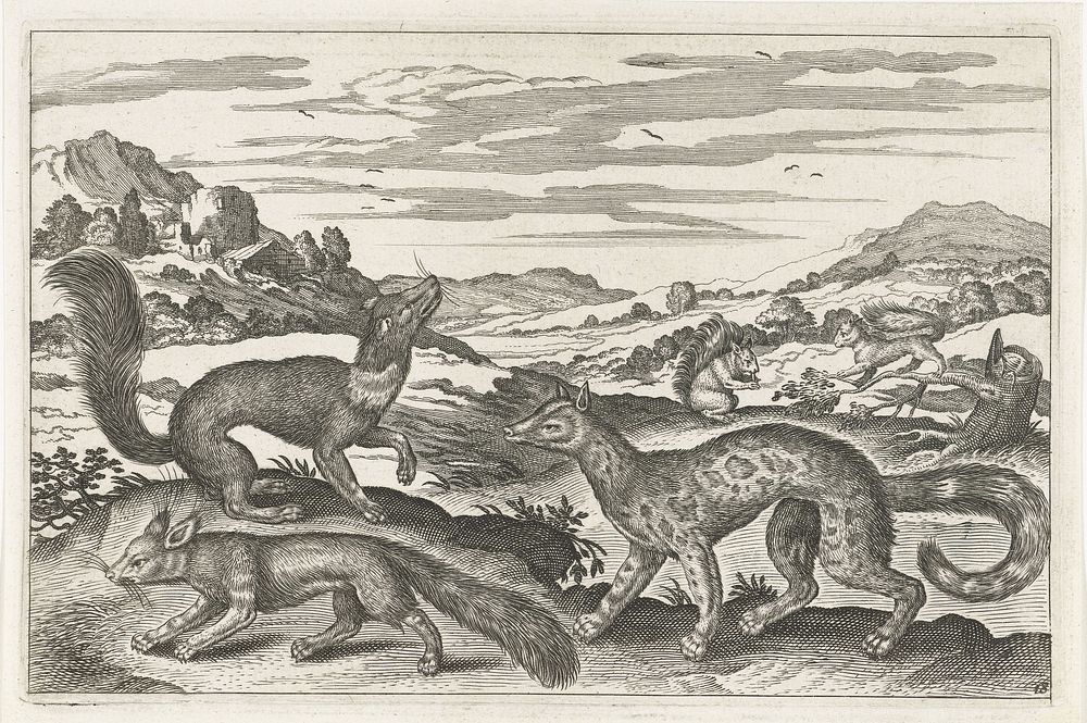 Marters, eekhoorns en een vos (1628 - 1679) by anonymous, Adriaen Collaert and Nicolaes Visscher I
