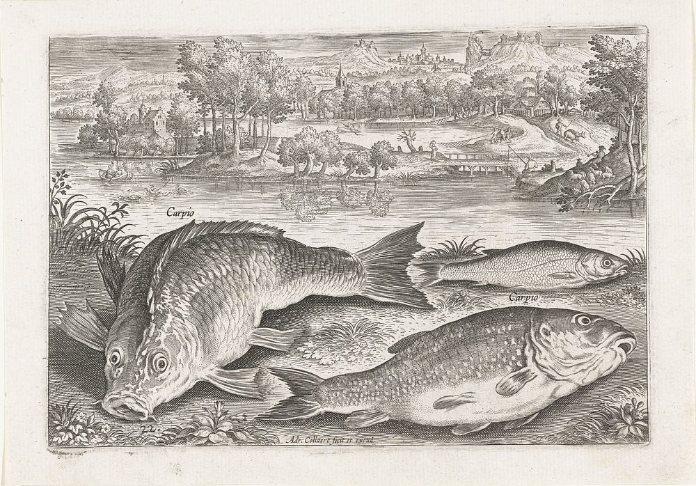 Drie karpers op een oever (after 1598 - 1618) by Adriaen Collaert, Adriaen Collaert and Adriaen Collaert