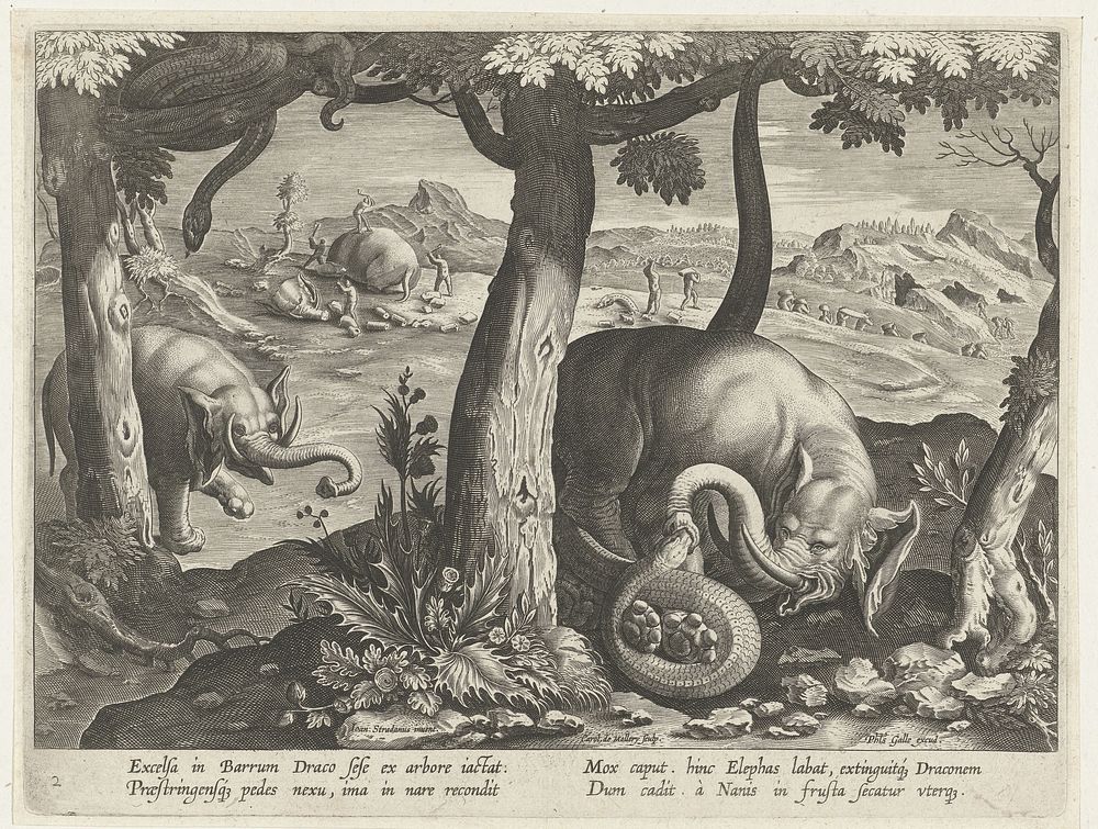 Olifant in gevecht met slang (after 1596 - 1618) by Karel van Mallery, Jan van der Straet, Philips Galle and Cornelis Kiliaan