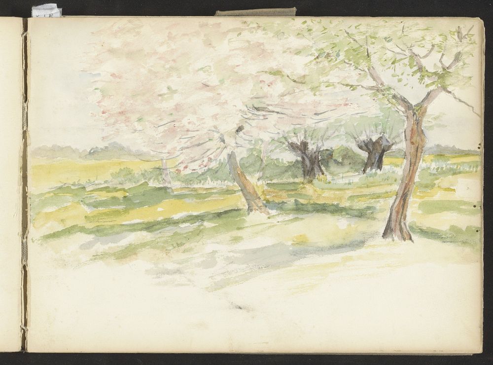 Landschap met bomen (c. 1913 - c. 1916) by jonkheer Johannes Ludovicus Paulus Bosch van Drakestein