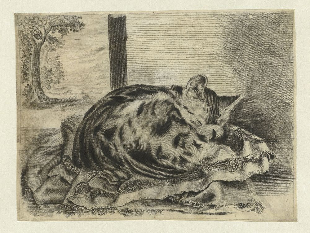 Slapende poes (1690 - 1700) by anonymous