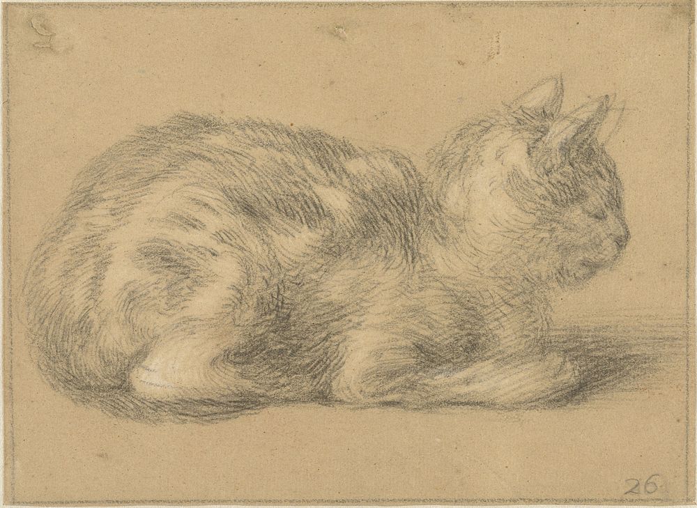 Zittende kat, naar rechts (1617 - 1681) by Cornelis Saftleven
