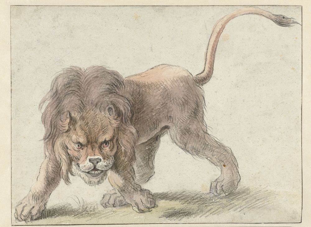 Lion (c. 1626) by Cornelis Saftleven