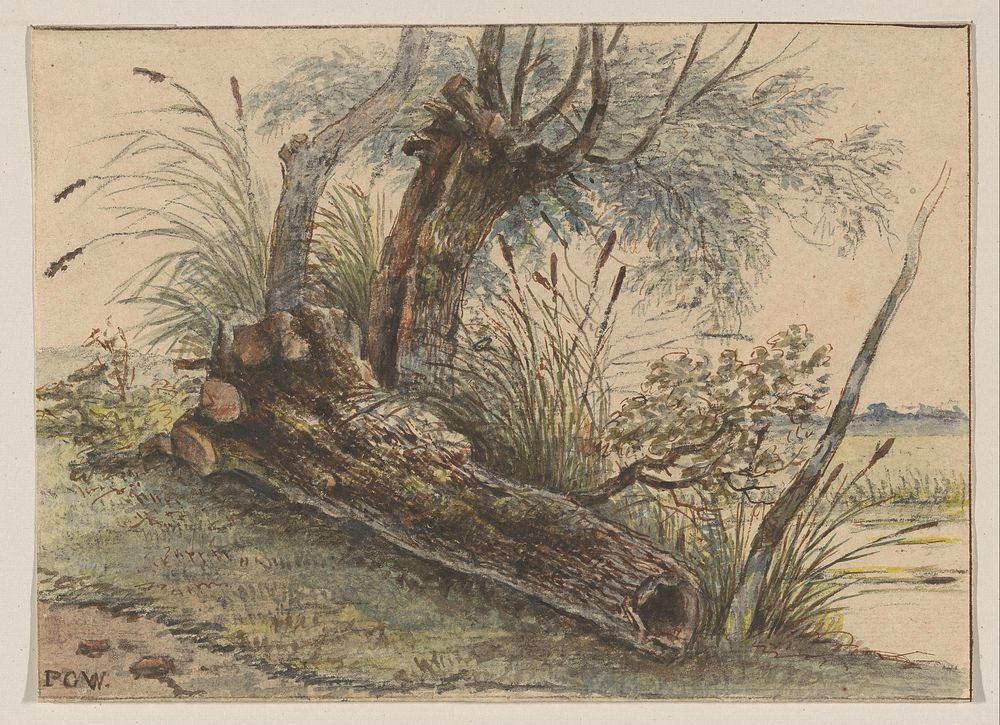 Boomstronk in het riet (1801 - 1873) by George Pieter Westenberg