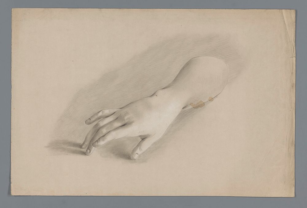 Gipsmodel van een hand (c. 1800 - c. 1900) by Alexander Cranendoncq