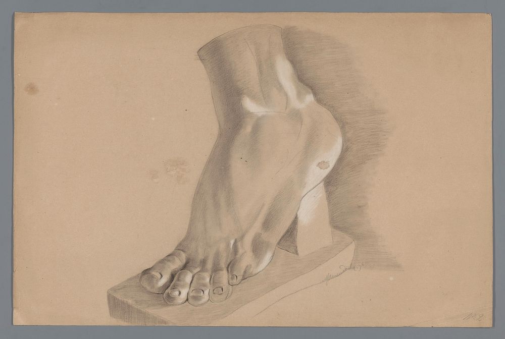 Gipsmodel van een voet (c. 1800 - c. 1900) by Alexander Cranendoncq