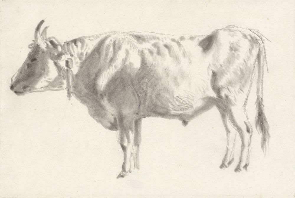 Studie van een os, in profiel (1841 - 1857) by Johan Daniël Koelman