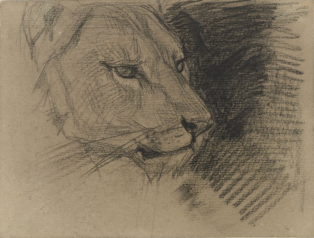 Kop van een leeuw (1848 - 1884) by August Allebé