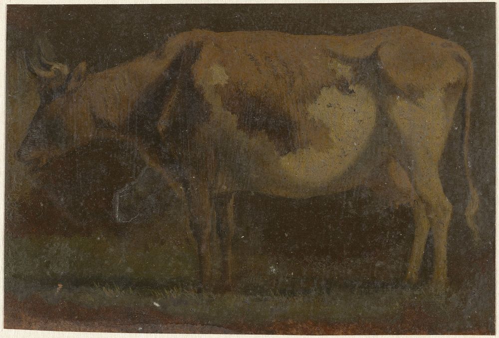 Staande koe, naar links (1775 - 1851) by Pieter Janson