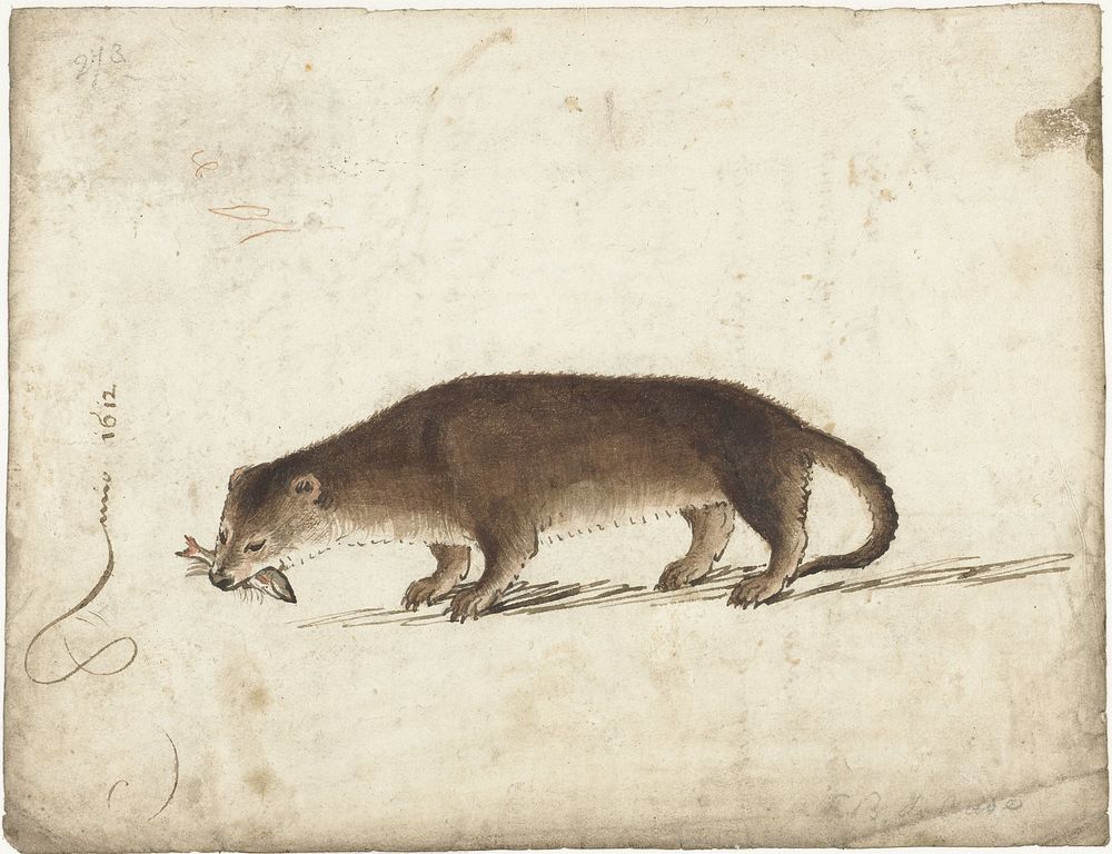 Otter met een vis in zijn bek (1612) by Gerard ter Borch I