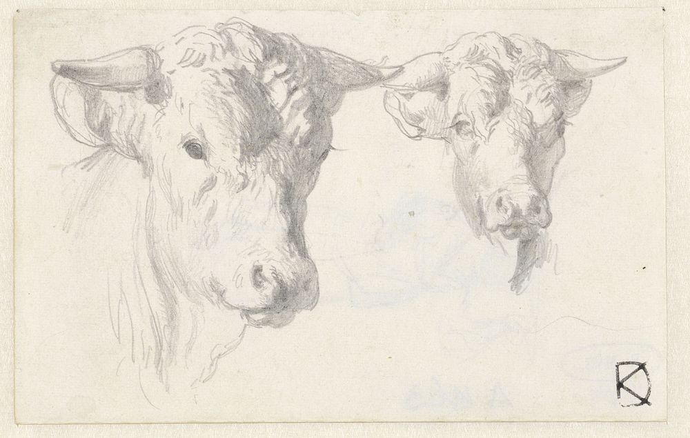 Twee ossenkoppen (1841 - 1857) by Johan Daniël Koelman