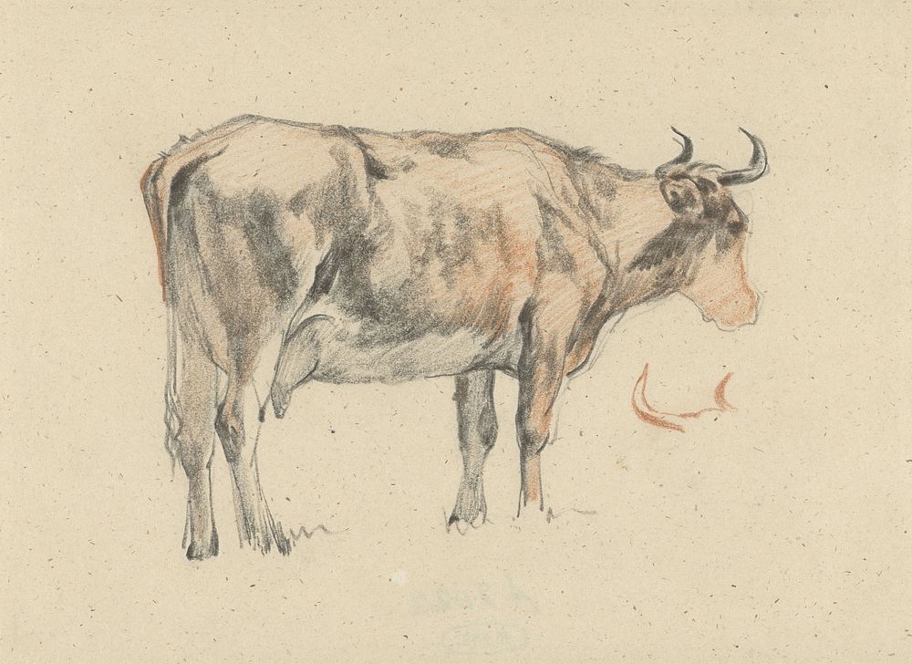 Staande koe, naar rechts (1821 - 1889) by Guillaume Anne van der Brugghen