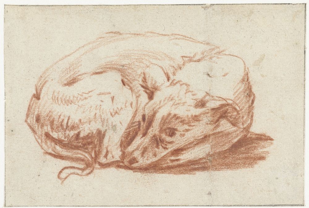Liggende hond (1667 - 1720) by Pieter van Bloemen