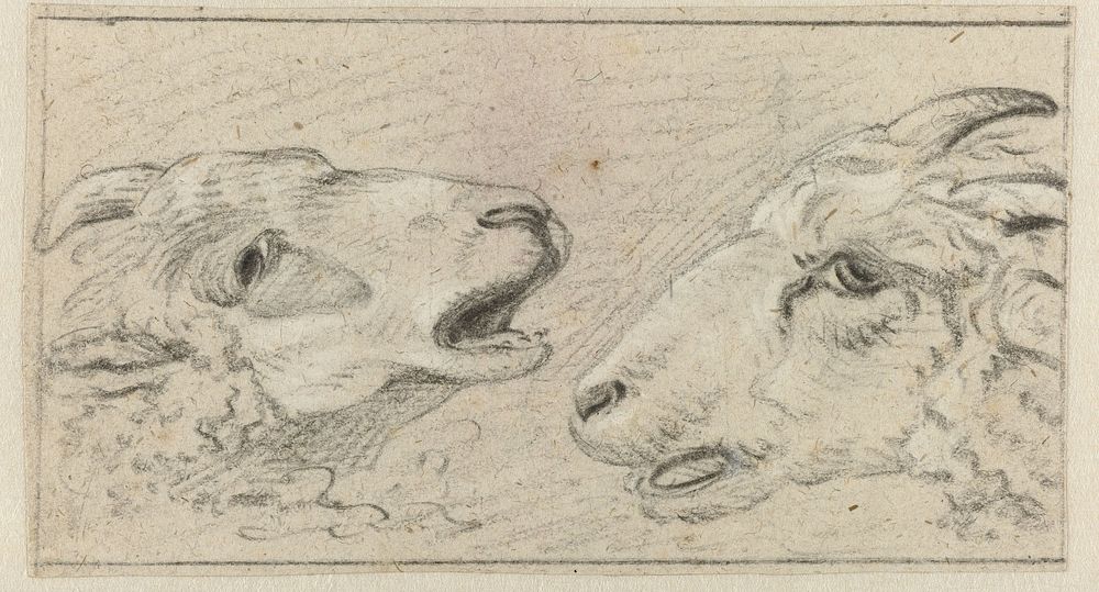 Twee schapenkoppen (1646 - 1672) by Adriaen van de Velde