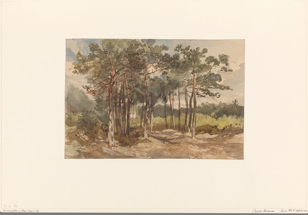 Boomgroep in de bossen bij Driebergen (c. 1855 - c. 1865) by Charles Rochussen