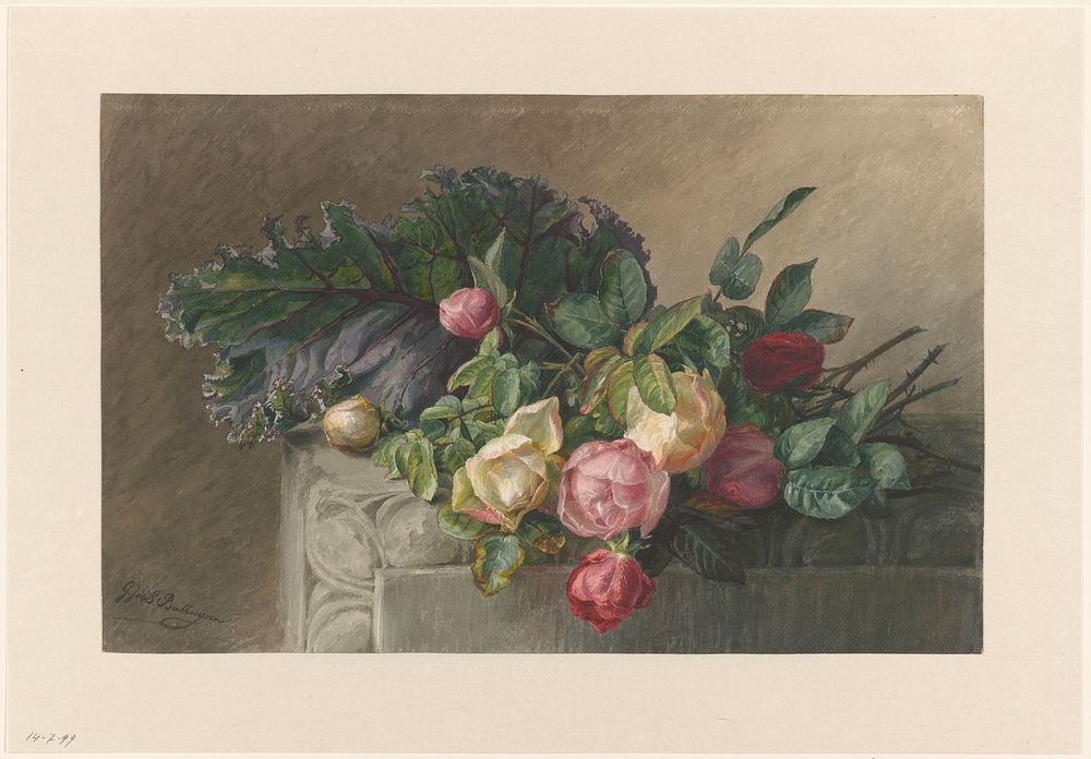 Stilleven met rozen en koolblad (1836 - 1892) by Gerardina Jacoba van de Sande Bakhuyzen