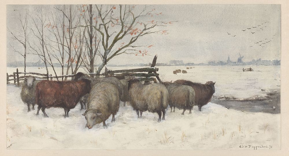 Schapen in de sneeuw (1878) by Geo Poggenbeek