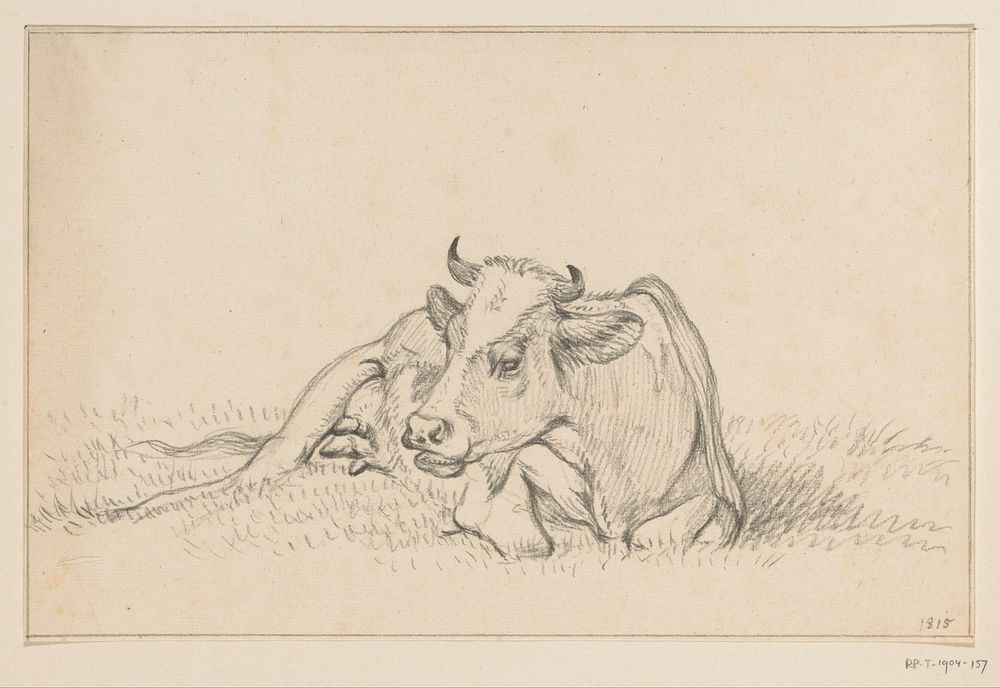 Liggende koe, van voren (1815) by Jean Bernard
