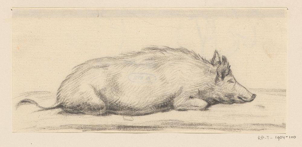 Liggend varken, naar rechts (1775 - 1833) by Jean Bernard