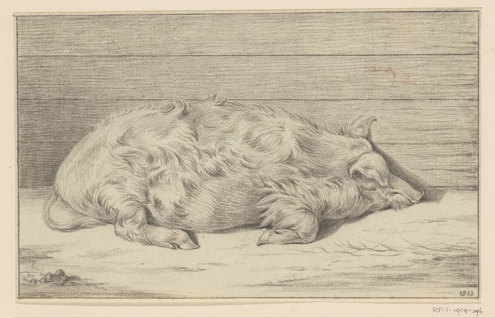 Liggend varken, naar rechts, tegen een beschutting (1812) by Jean Bernard