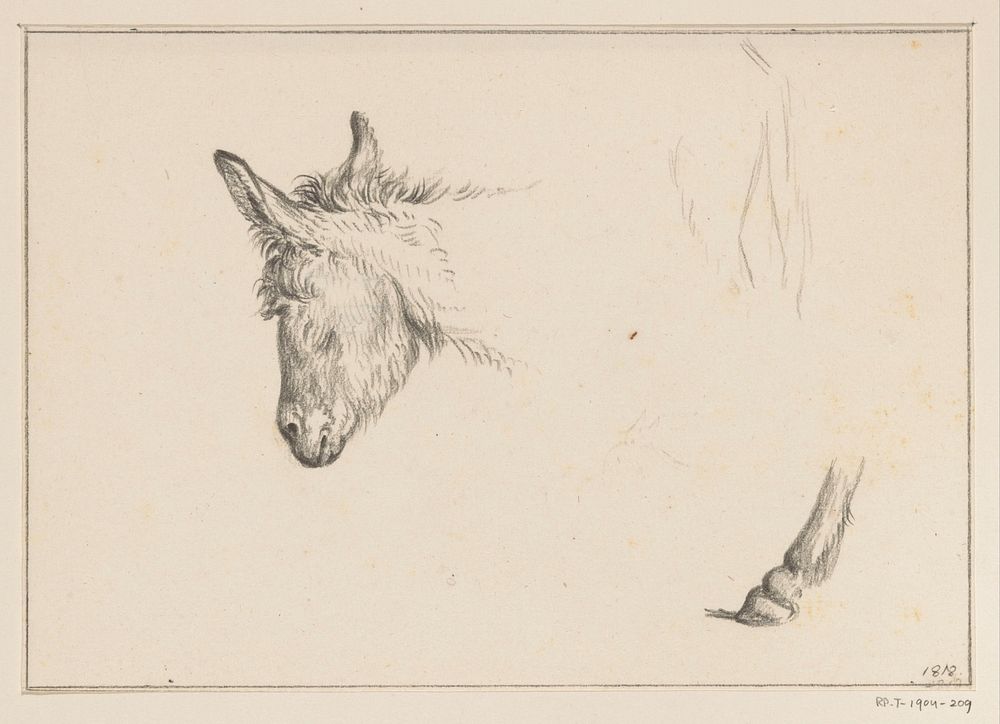 Kop en poot van een ezel (1818) by Jean Bernard