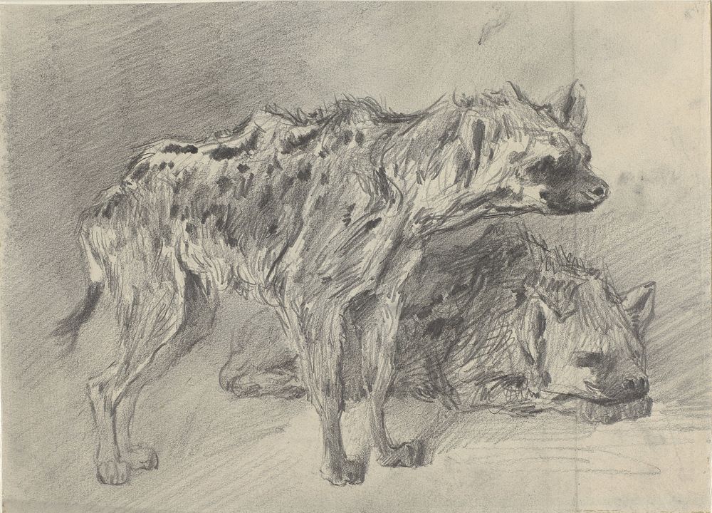 Twee hyena's (1845 - 1894) by Frederik Willem Zürcher