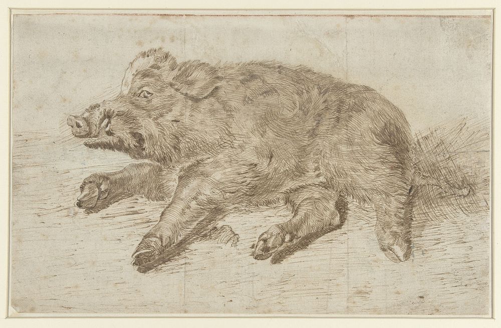 Liggend wild zwijn (c. 1700 - c. 1800) by anonymous and Jean Baptiste Oudry