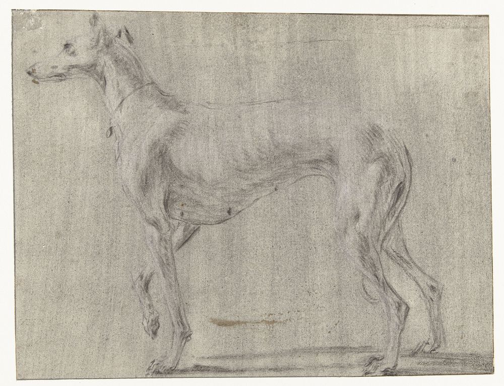 Een staande hond, van opzij gezien (1589 - 1657) by Frans Snijders