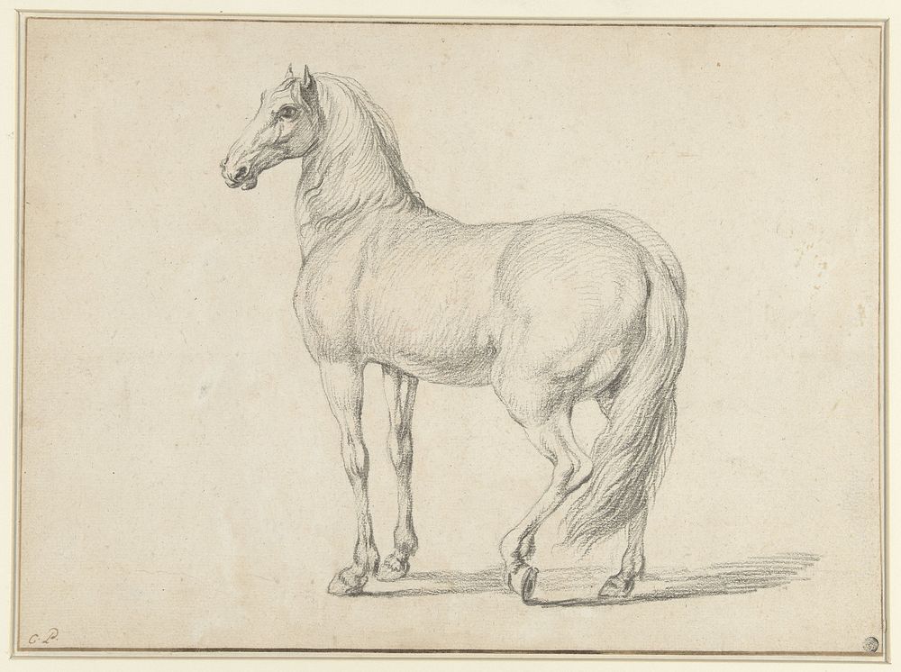 Ontzadeld paard, naar links (1698 - 1752) by Charles Parrocel