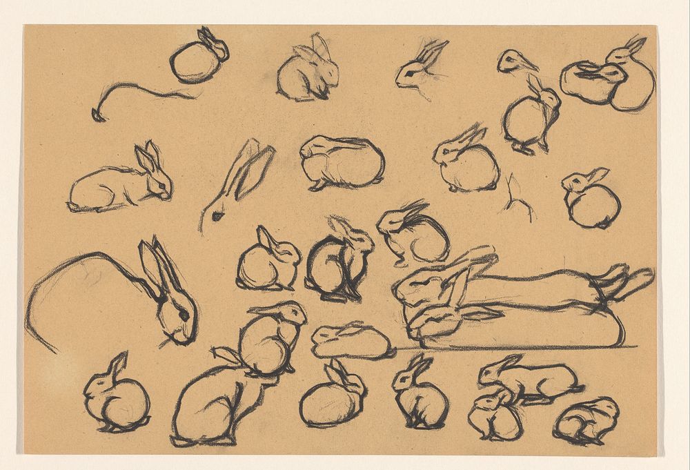 Studieblad met konijnen (1887 - 1924) by Julie de Graag
