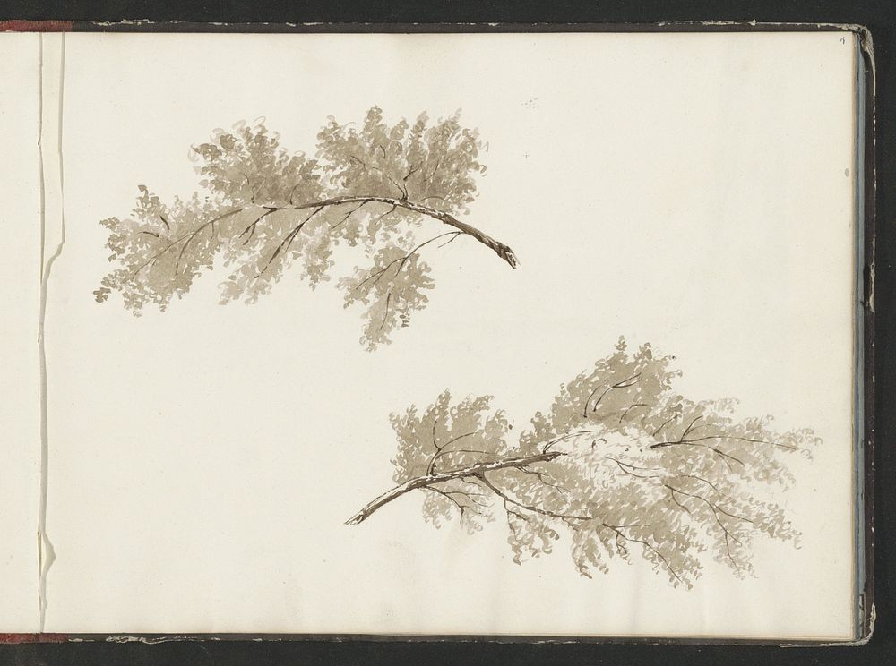 Boomtakken (c. 1819 - c. 1870) by anonymous