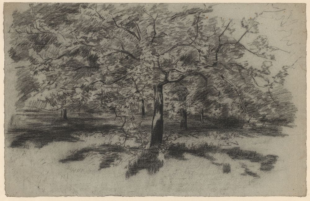 Landschap met bomen (1872 - 1939) by Egbert Rubertus Derk Schaap