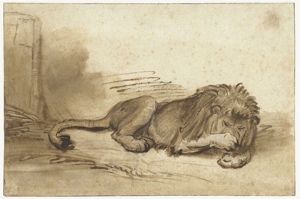 Reclining Lion with its Forepaw over its Muzzle (c. 1640 - c. 1650) by Rembrandt van Rijn