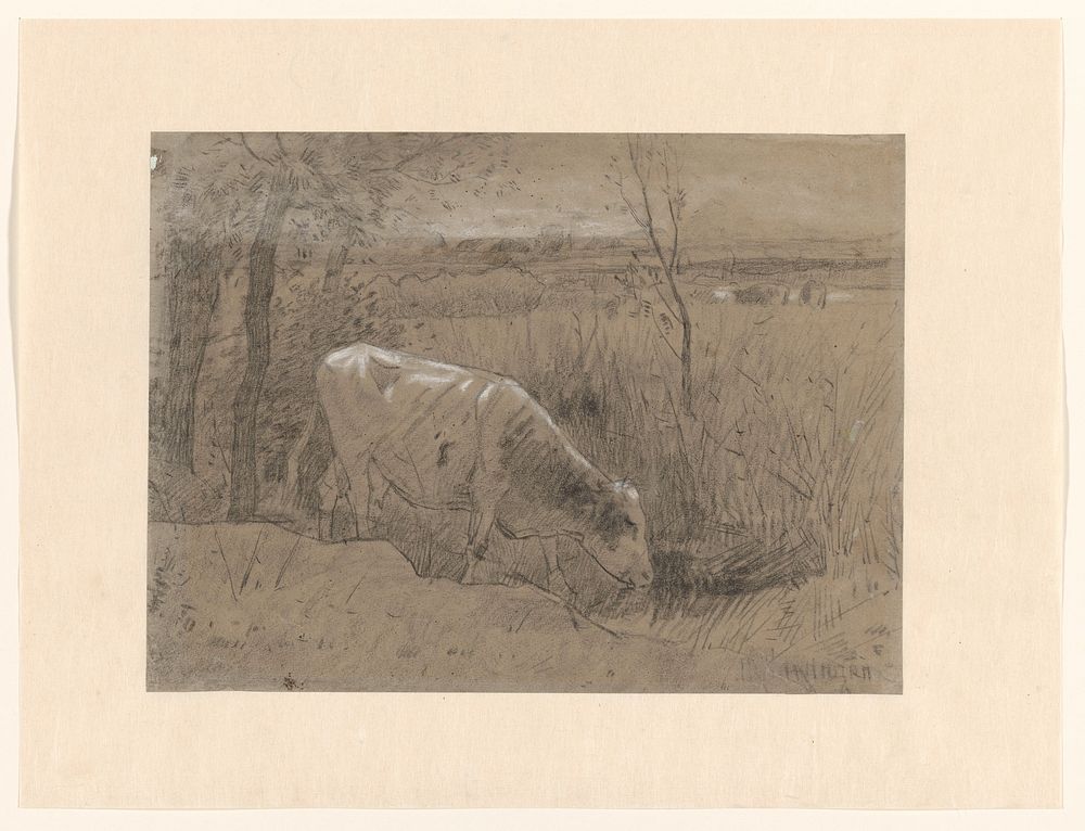 Drinkende koe (1856 - 1920) by Hendrikus Alexander van Ingen