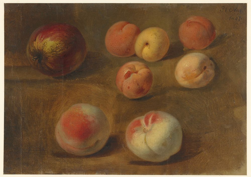 Stilleven met appel, perziken en abrikozen (1847) by Albertus Steenbergen