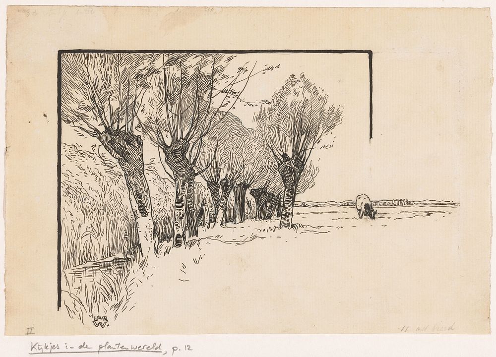 Grazende koe en wilgen langs een sloot (in or before 1893) by Willem Wenckebach