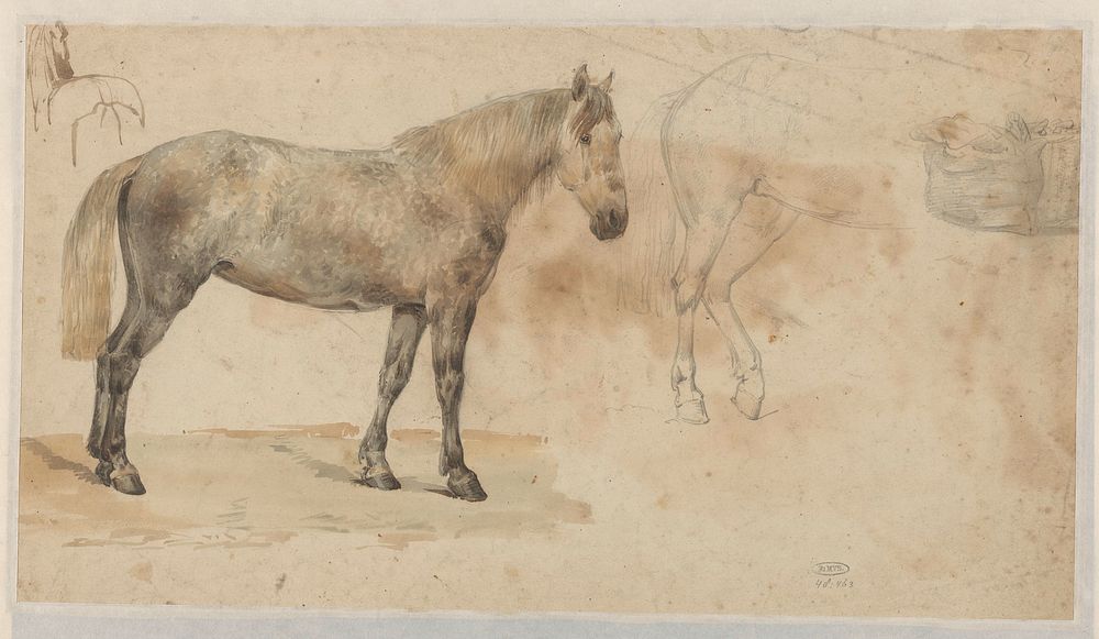 Studies van een paard (1845 - 1926) by Willem Carel Nakken