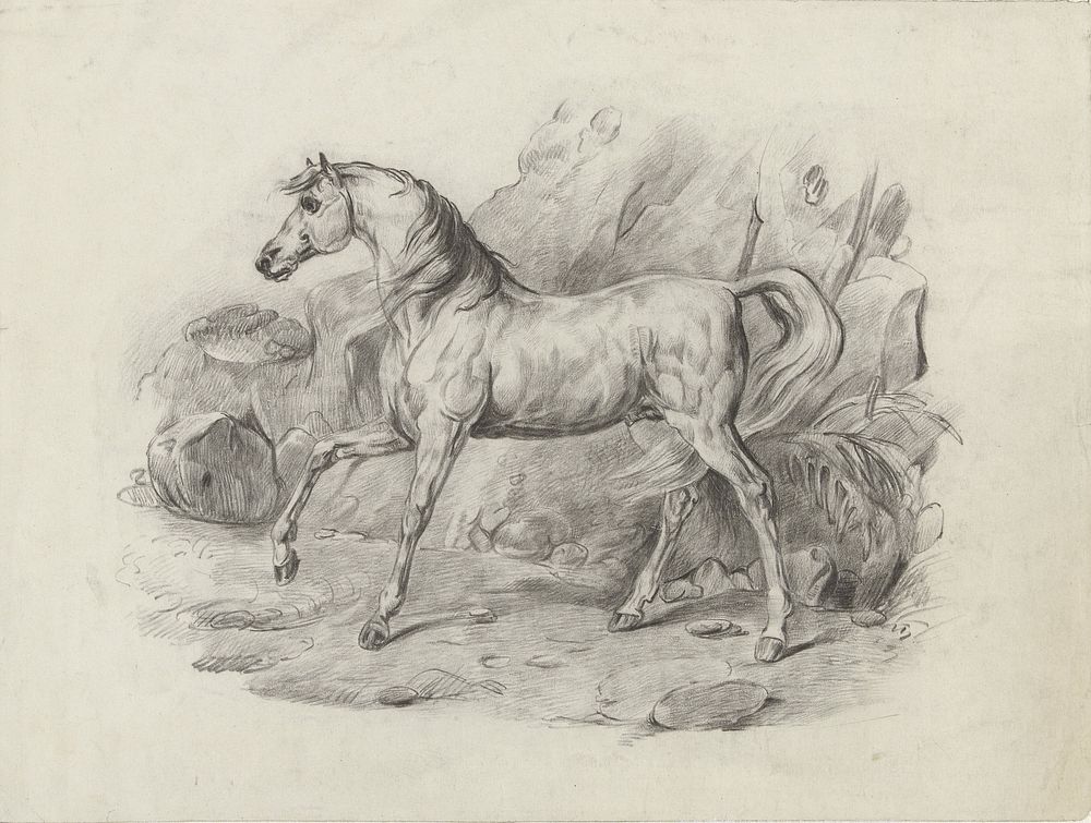 Staand paard, naar links (1867 - 1923) by George Hendrik Breitner and Schmidt graveur