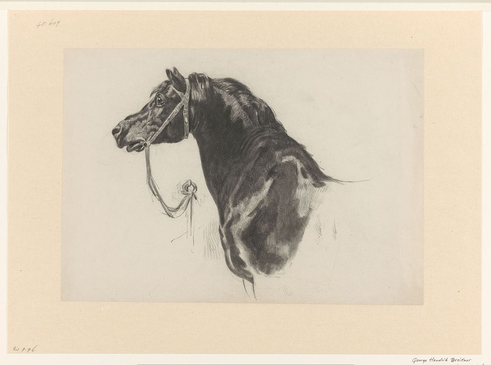 Hoofd en nek van een paard (1867 - 1923) by George Hendrik Breitner and Schmidt graveur