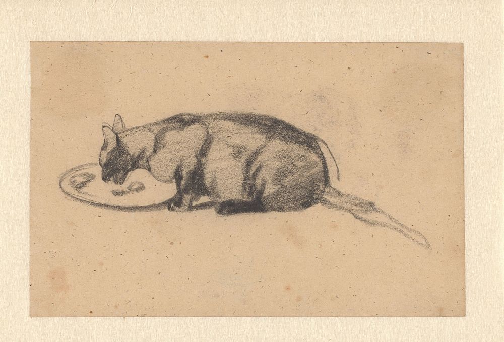 Kat die een bord uitlikt (1821 - 1891) by Guillaume Anne van der Brugghen