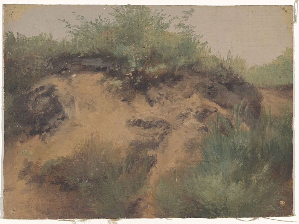 Duinpan (1821 - 1891) by Guillaume Anne van der Brugghen