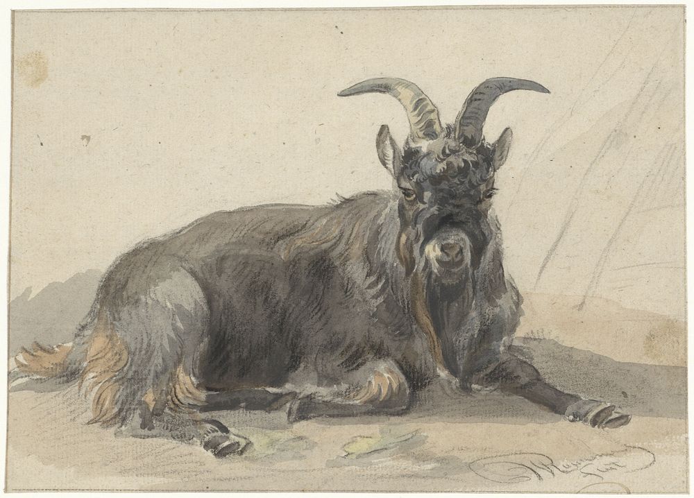 Liggende zwarte geitenbok (1799 - 1869) by Jan van Ravenswaay