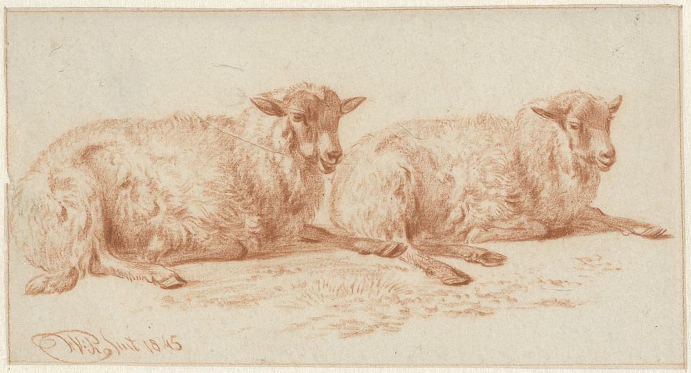 Studie van twee liggende schapen (1845) by Jan van Ravenswaay