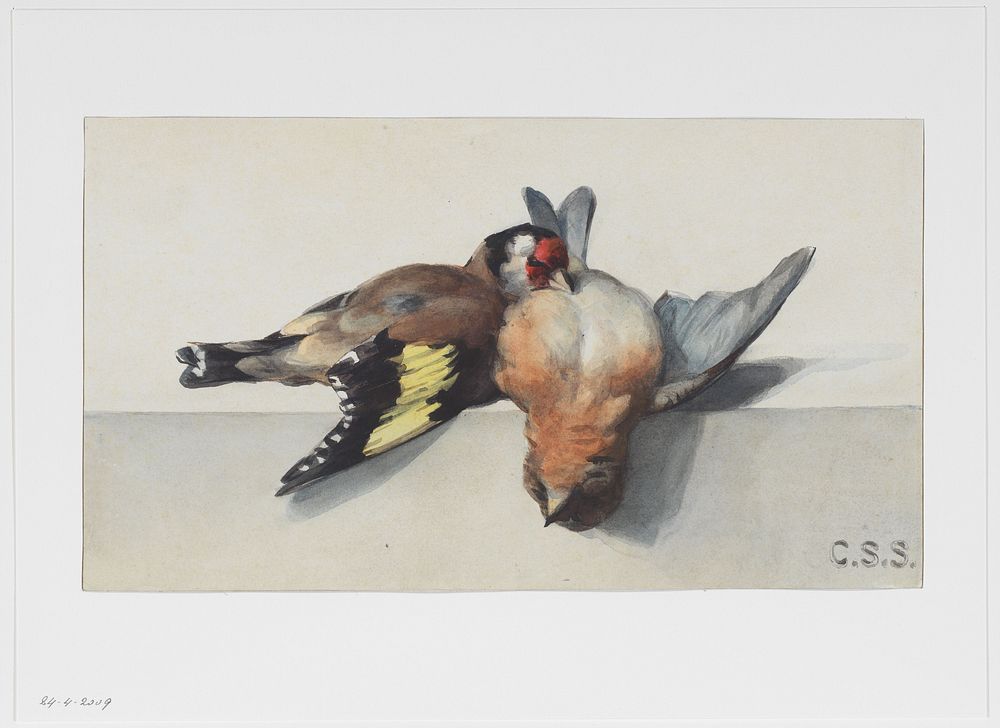 Stilleven met twee dode vogels (1848 - 1885) by Cornelis Samuel Stortenbeker