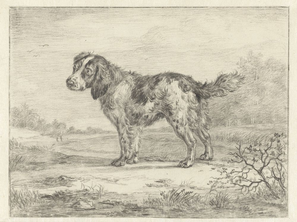 Spaniel staande in een landschap (1780 - 1855) by Jan Dasveldt