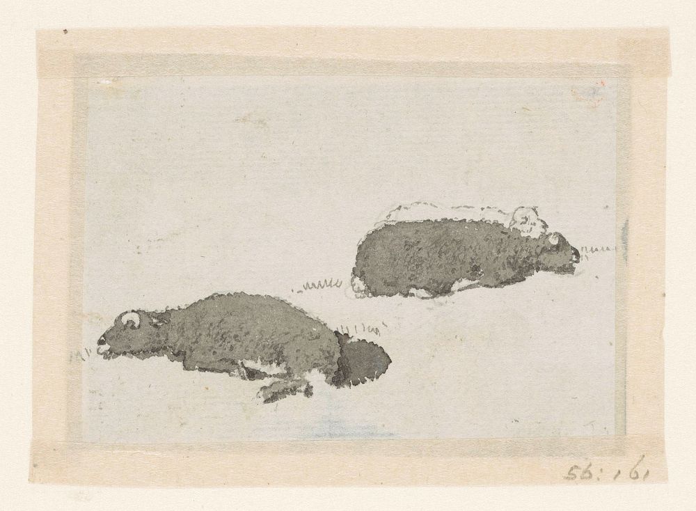 Twee schapen in tegenbelichting (1750 - 1809) by David Alphonse de Sandoz Rollin