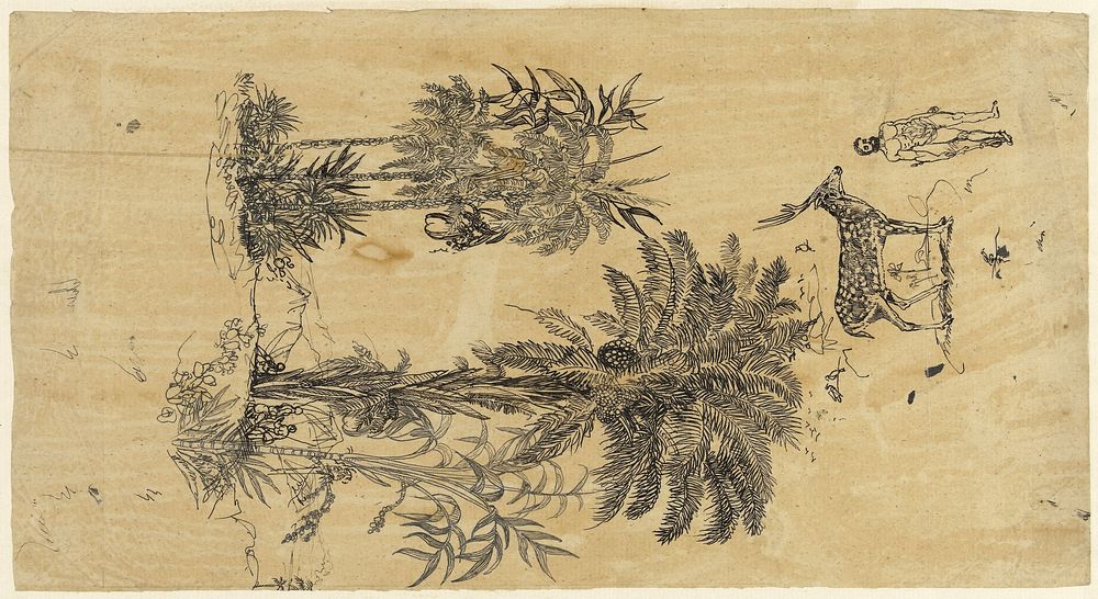Studieblad met palmbomen in twee groepen (1869 - 1873) by Rodolphe Bresdin