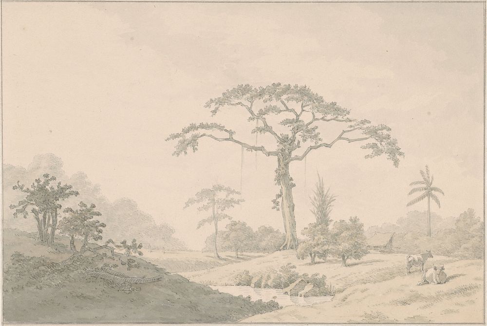 Gezicht bij een hoeve in Suriname (1834) by Nicolaas Box