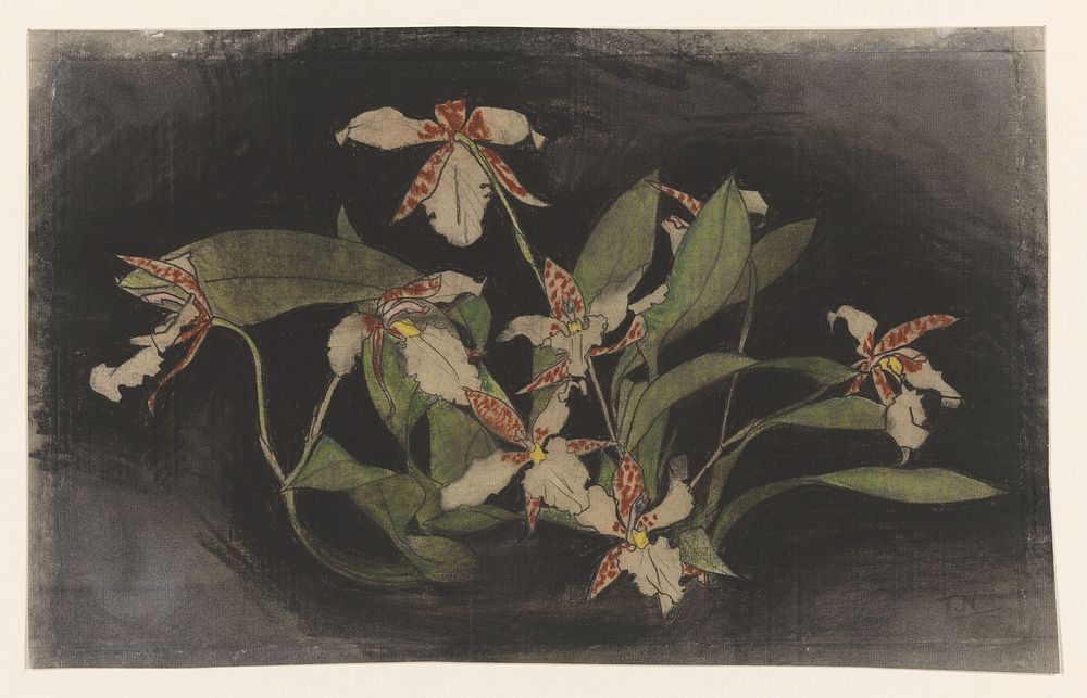 Bloeiende orchideeëntak (1876 - 1951) by Theo Nieuwenhuis